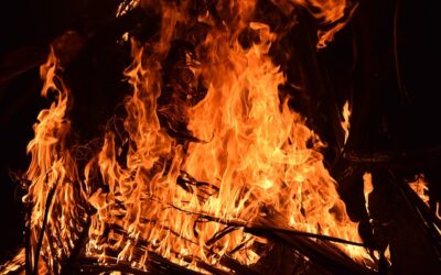 NUESTROS FUEGOS INTERNOS INCENDIAN GAIA