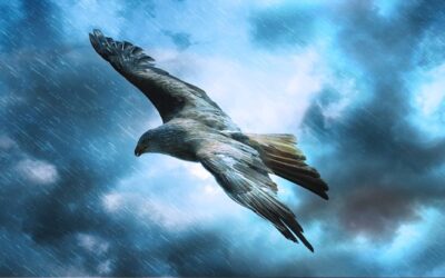 TORMENTAS DE LA VIDA, MIS GRANDES MAESTRAS