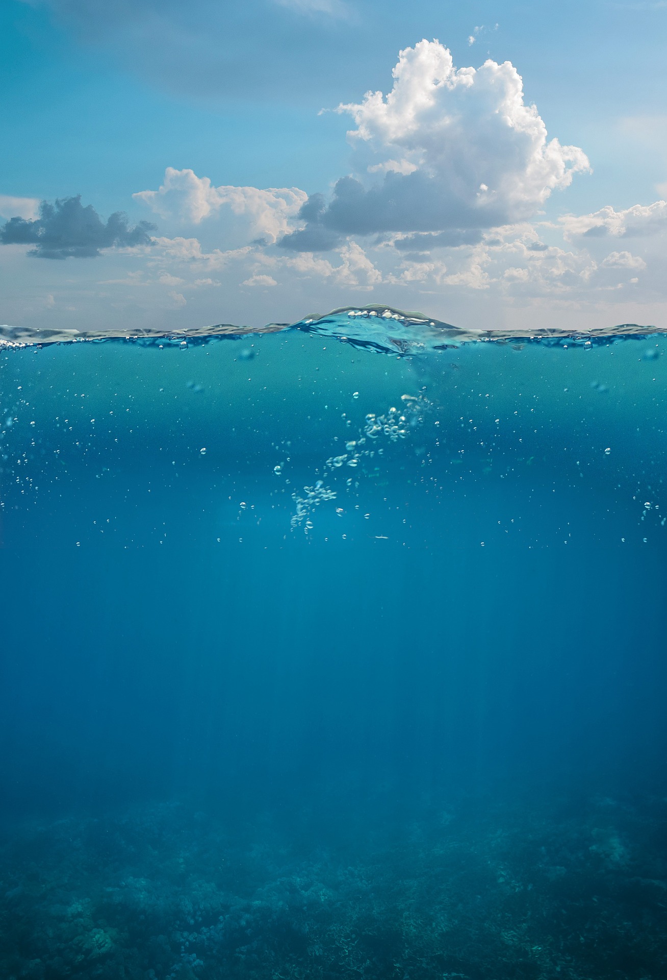 alexandra_koch-underwater-4286600_1920